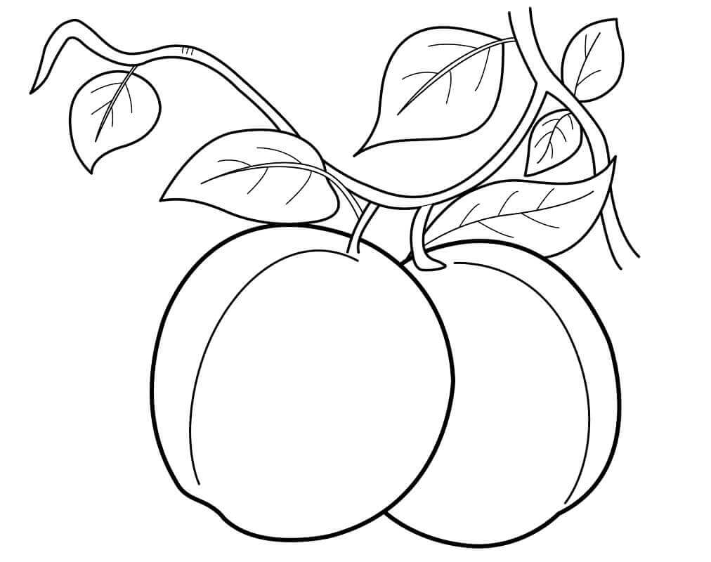 Dibujo de Dos Melocotones para Colorear