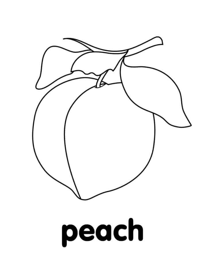 Dibujo de Fruta de Melocotn Simple para Colorear