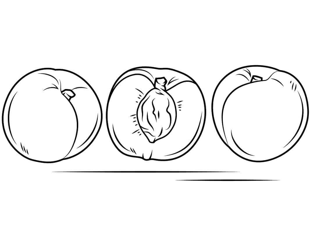 Dibujo de Melocotones Frutas para Colorear