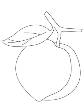 Dibujo de Melocotn Simple para Colorear
