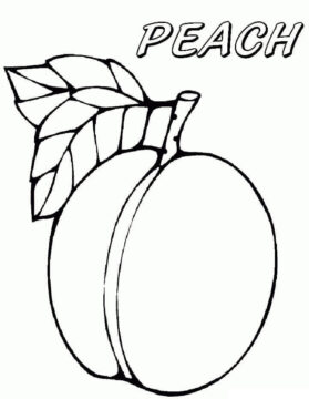 Dibujo de Una Fruta de Durazno para Colorear