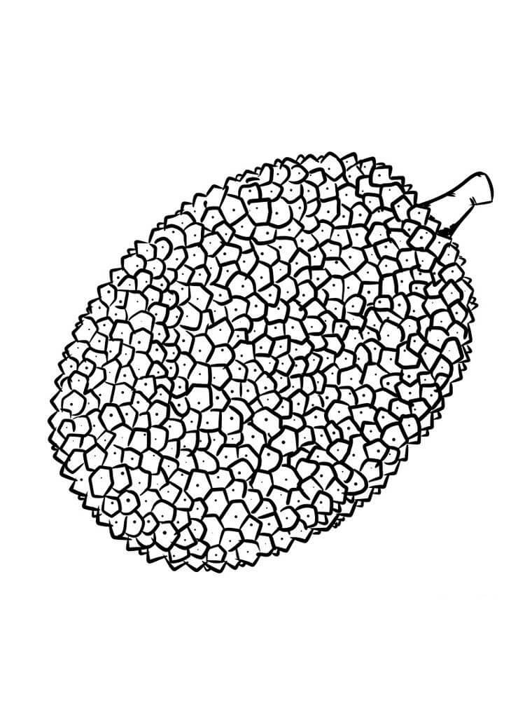 Dibujo de Bonito Durian para Colorear