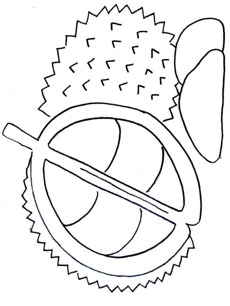 Dibujo de Buen Durian para Colorear