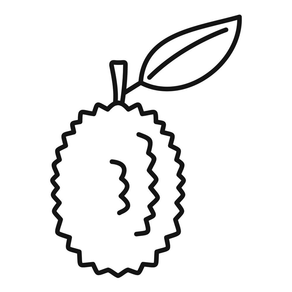Dibujo de Durian para Colorear