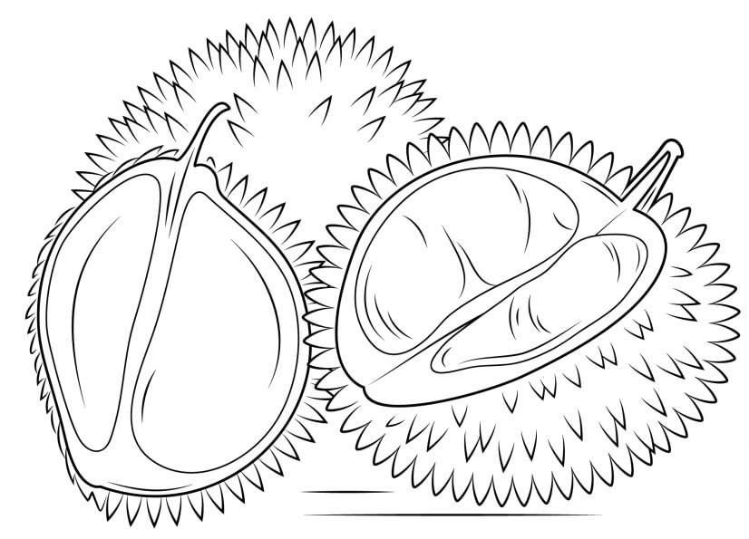 Dibujo de Dos Durianos y Medio Durianos para Colorear