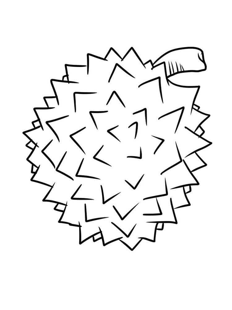 Dibujo de Durian Bsico para Colorear