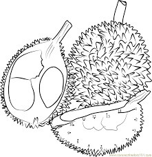 Dibujo de Durian Color por Nmero para Colorear