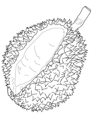 Dibujo de Durian Impresionante para Colorear