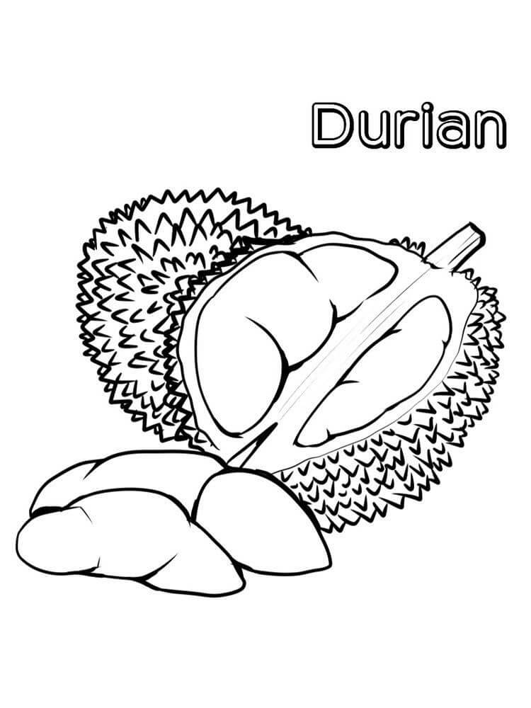 Dibujo de Durian Normal para Colorear