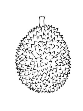 Dibujo de Durian Simple para Colorear