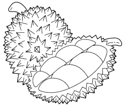 Dibujo de Durian Simple y Medio Durian para Colorear