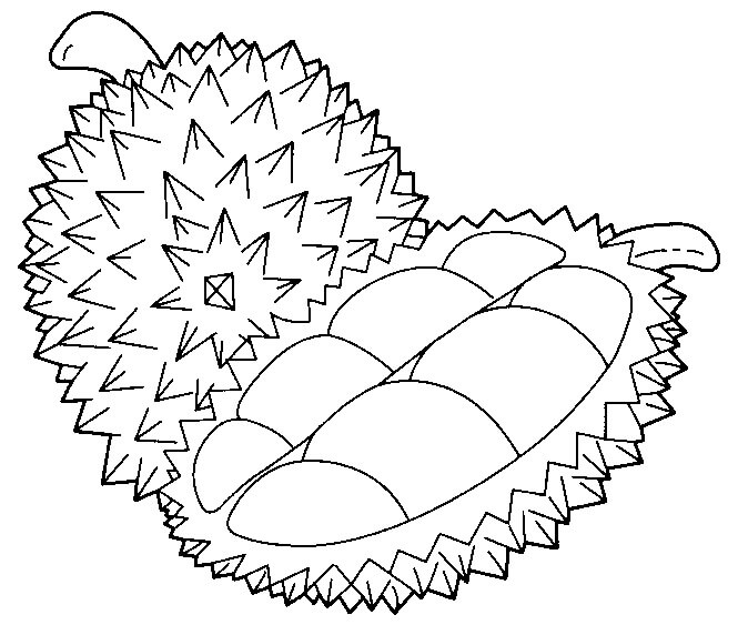Dibujo de Durian Simple y Medio Durian para Colorear