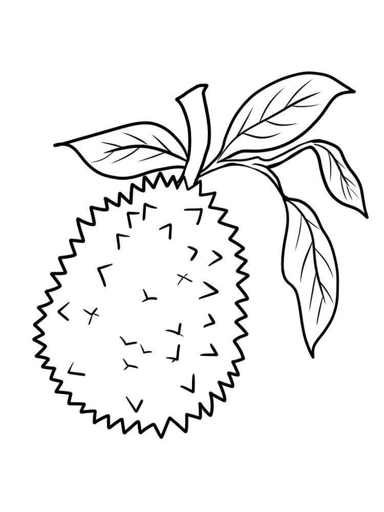 Dibujo de Durian con Hoja para Colorear