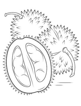 Dibujo de Gran Durian para Colorear