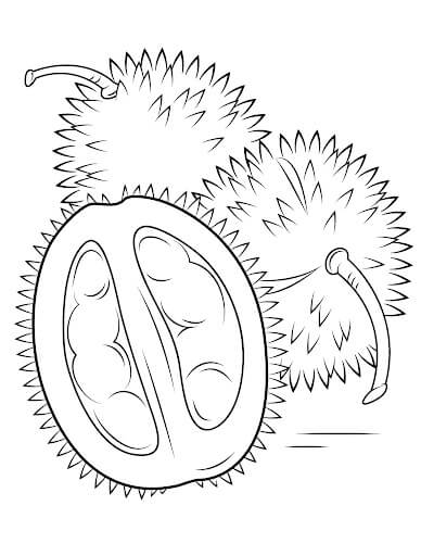 Dibujo de Gran Durian para Colorear