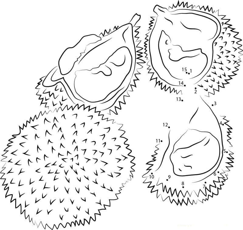 Dibujo de Punto a Punto de Durian Rojo para Colorear
