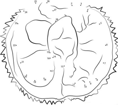 Dibujo de Punto de Durian Bsico a Puntos para Colorear
