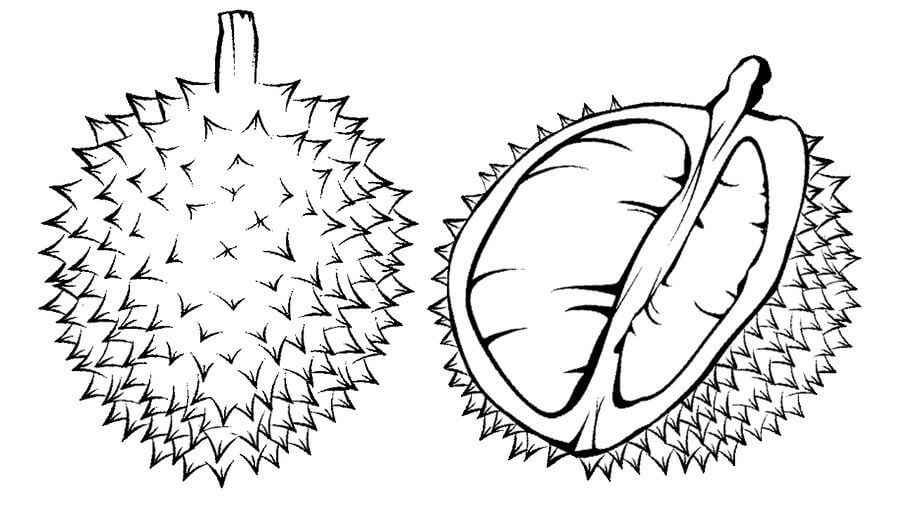 Dibujo de Un Durian y Medio Durian para Colorear