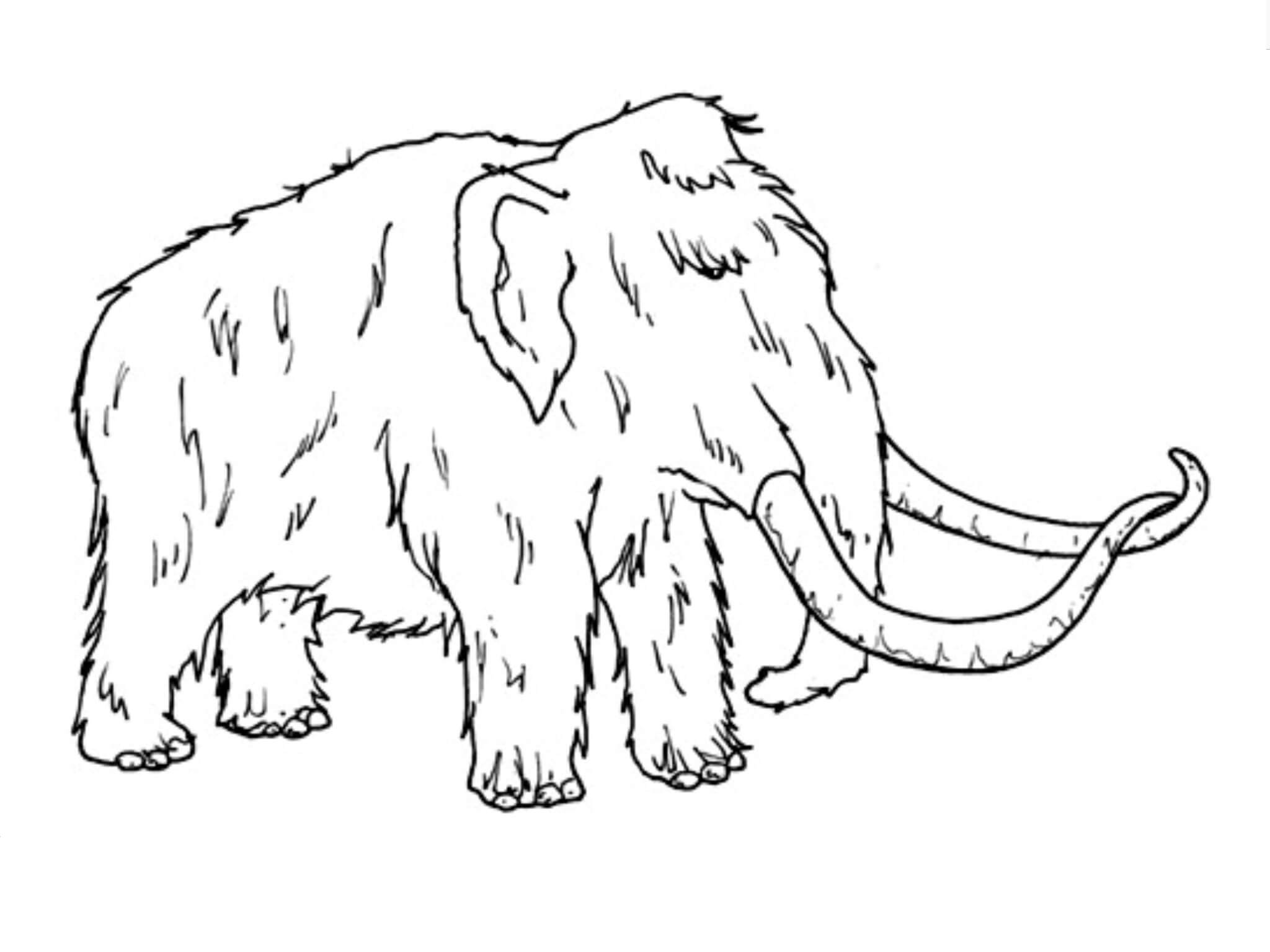 Dibujo de Mamut Antiguo para Colorear