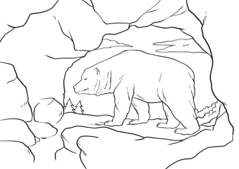 Dibujo de Osos Polares en la Edad de Piedra para Colorear