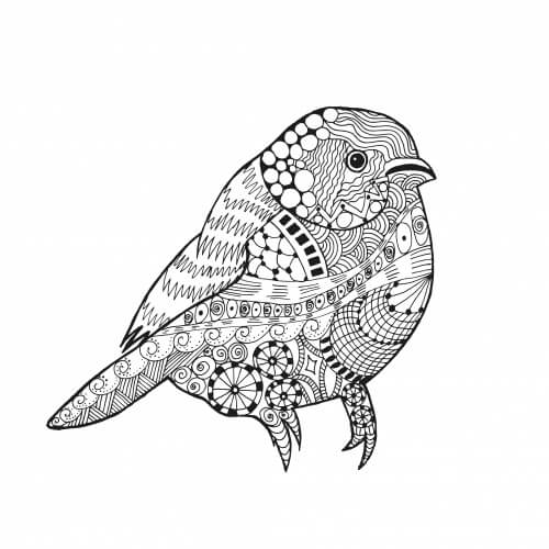 Dibujo de Alivio del Estrs de las Aves para Colorear