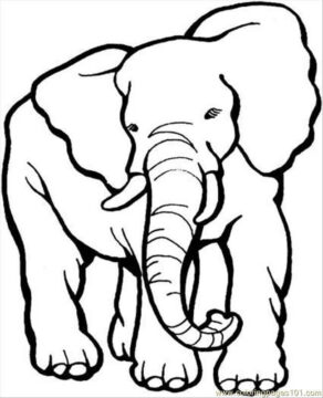 Dibujo de Gran Elefante para Colorear