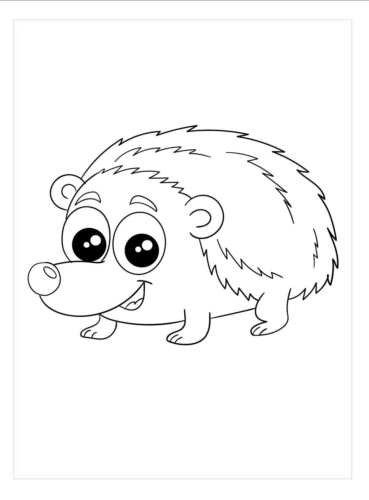 Dibujo de Bonito Erizo para Colorear