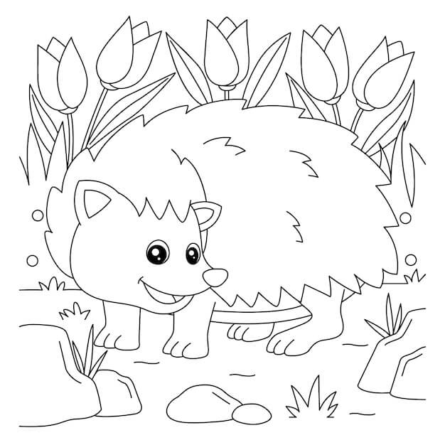 Dibujo de Buen Erizo para Colorear