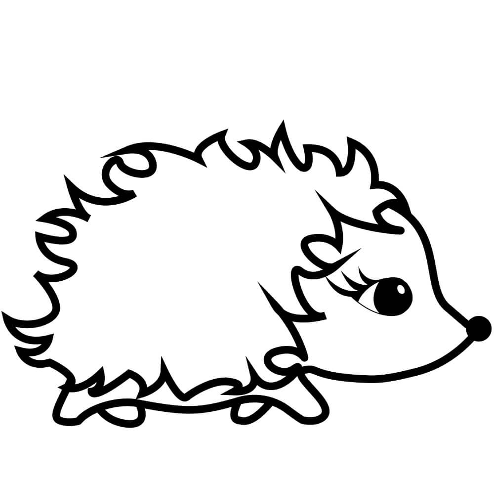 Dibujo de Erizo Asombroso para Colorear