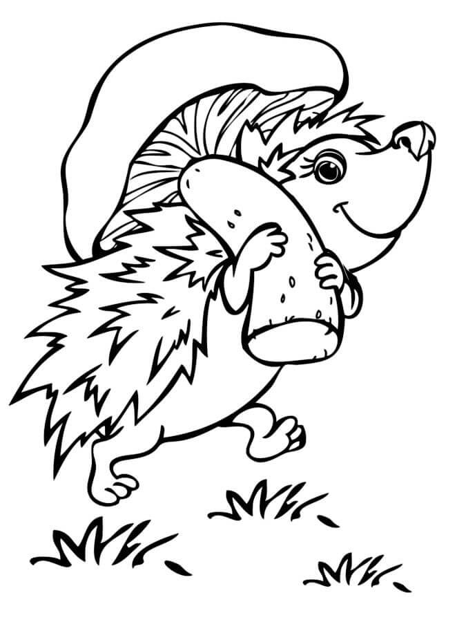 Dibujo de Erizo con Champinon para Colorear