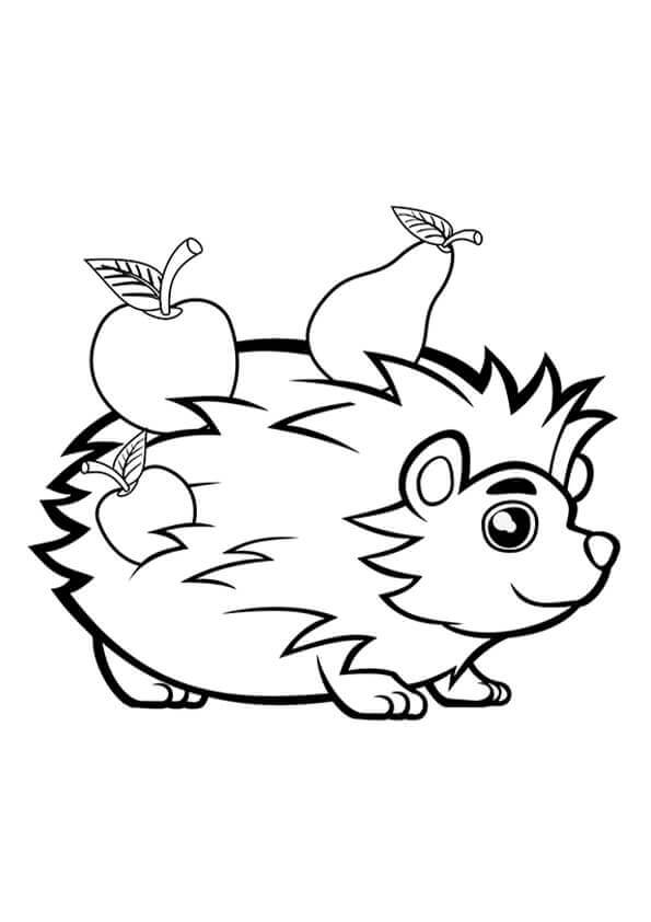 Dibujo de Erizo con Dos Frutas para Colorear