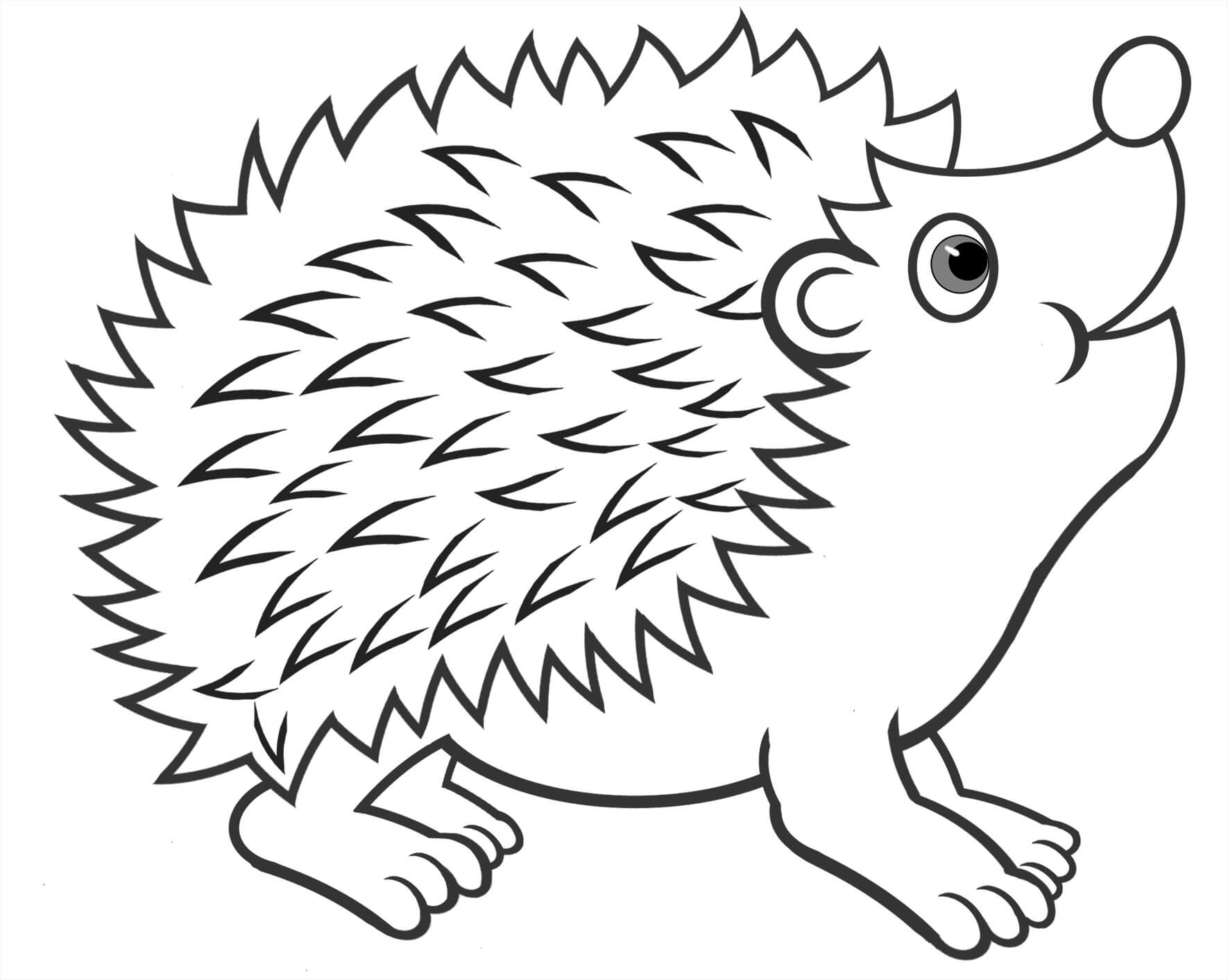 Dibujo de Erizo Divertido para Colorear