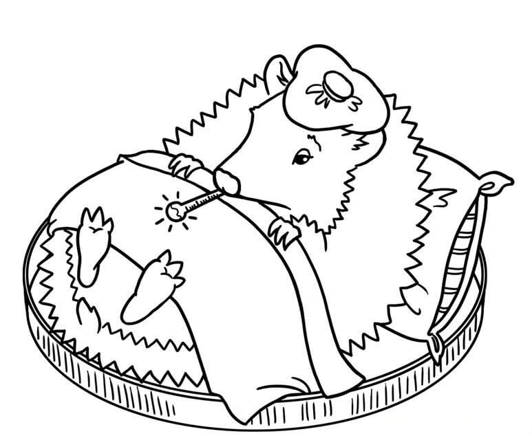 Dibujo de Erizo Durmiendo para Colorear