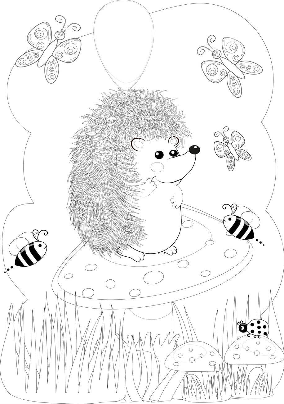 Dibujo de Erizo e Insecto para Colorear