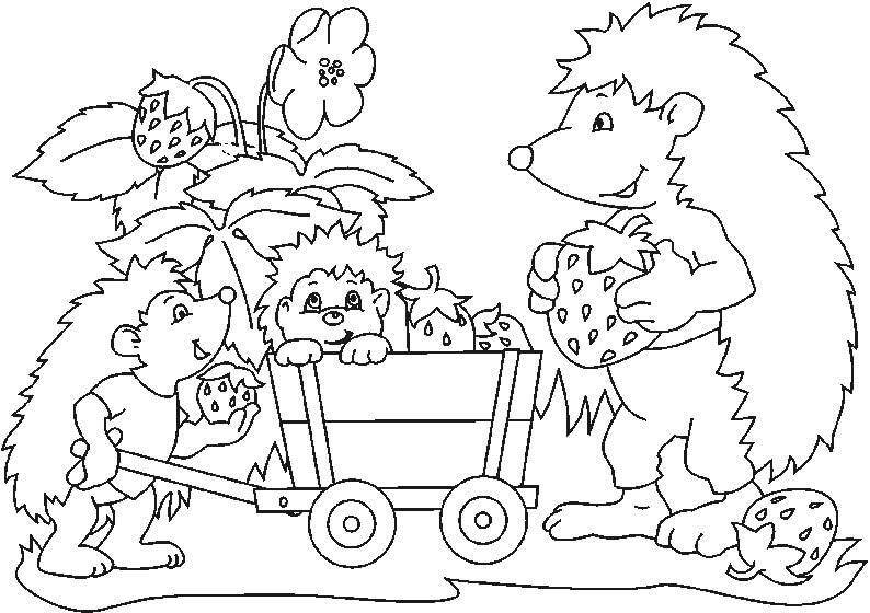 Dibujo de Erizo Familiar para Colorear