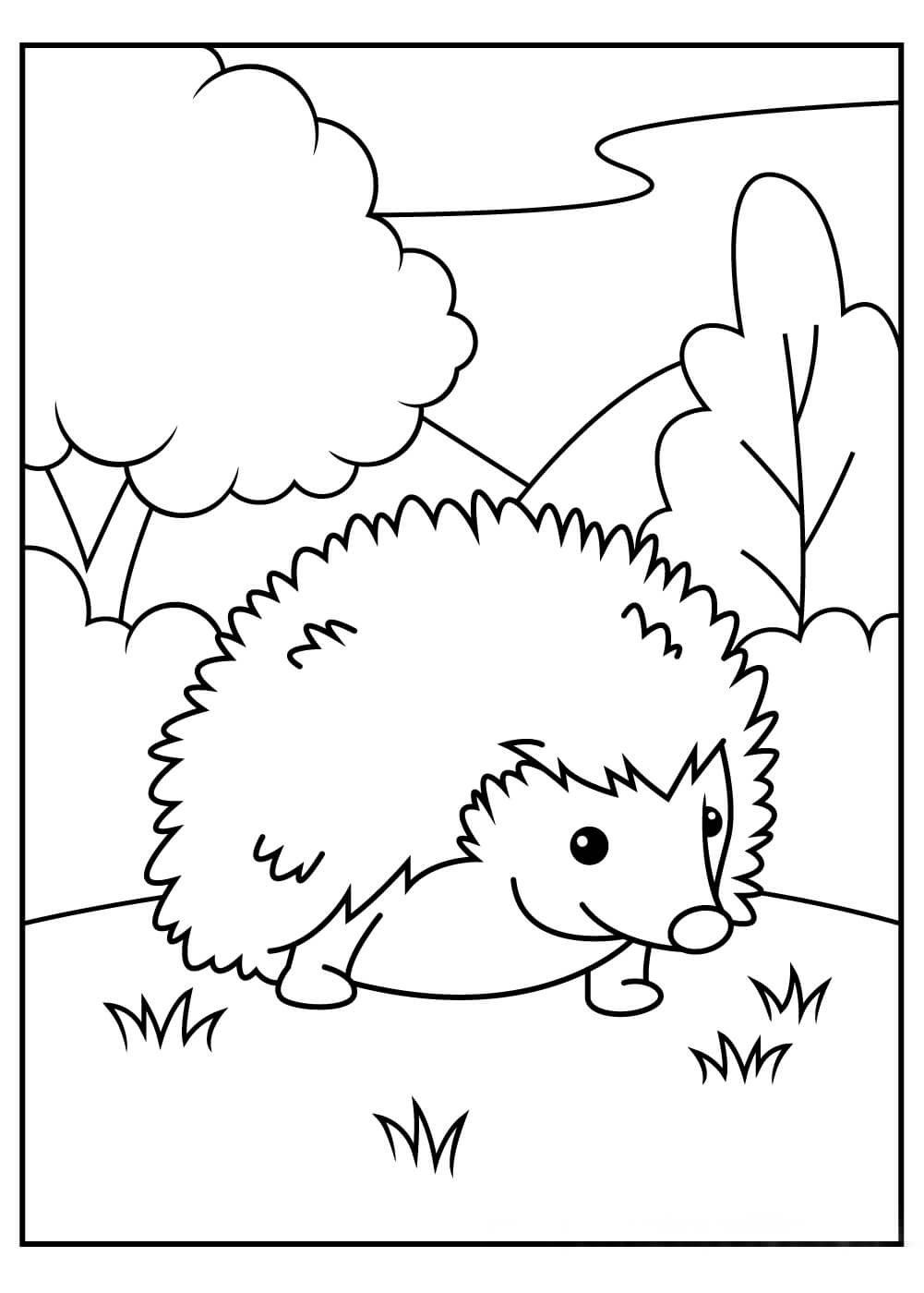 Dibujo de Erizo Grande para Colorear