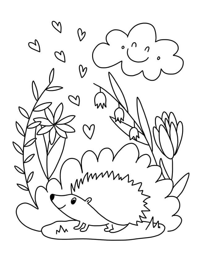 Dibujo de Erizo Imprimible para Colorear