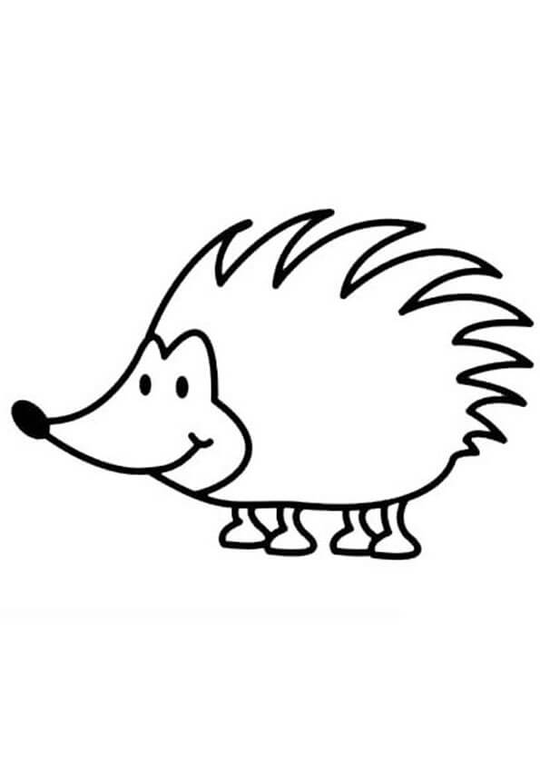 Dibujo de Erizo Normal para Colorear