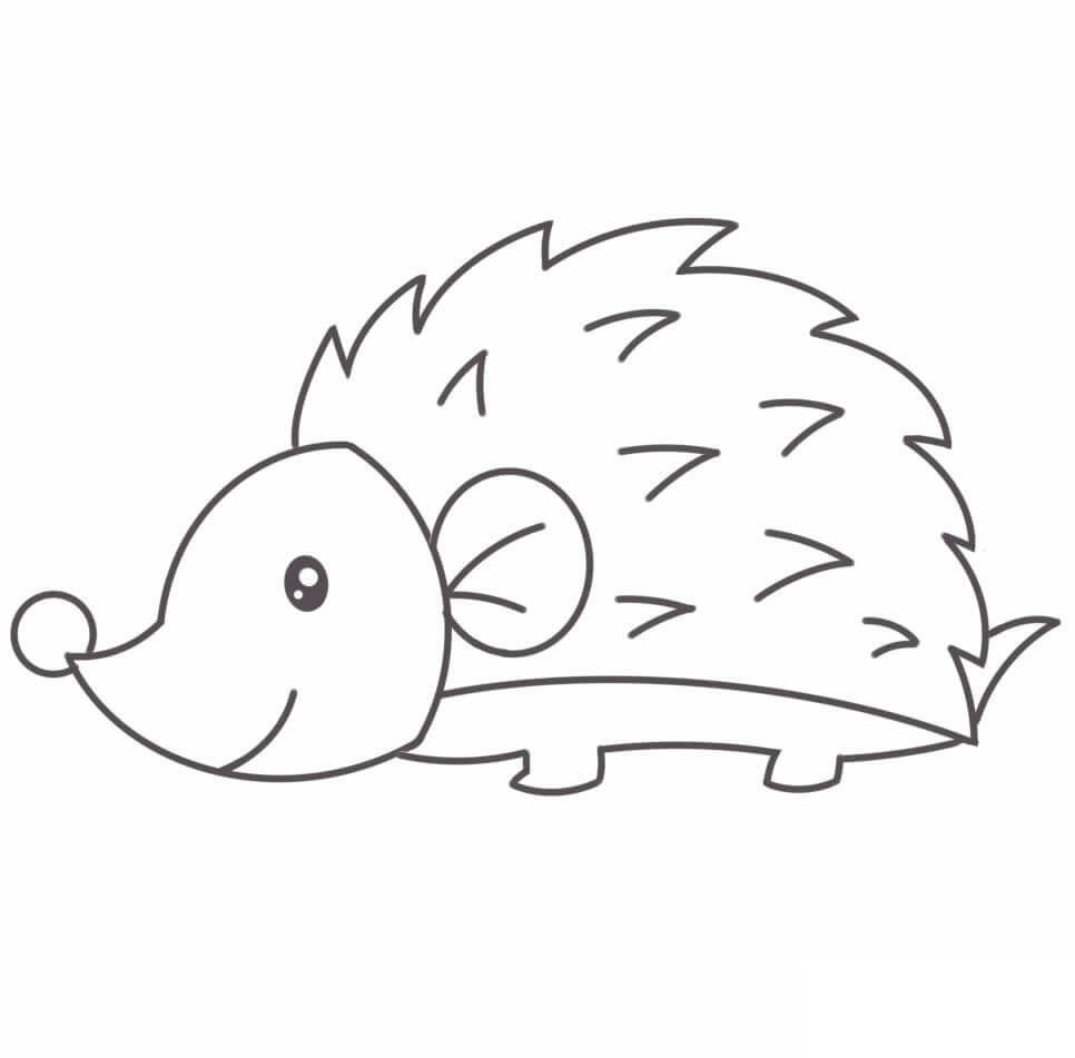 Dibujo de Erizo Simple para Colorear