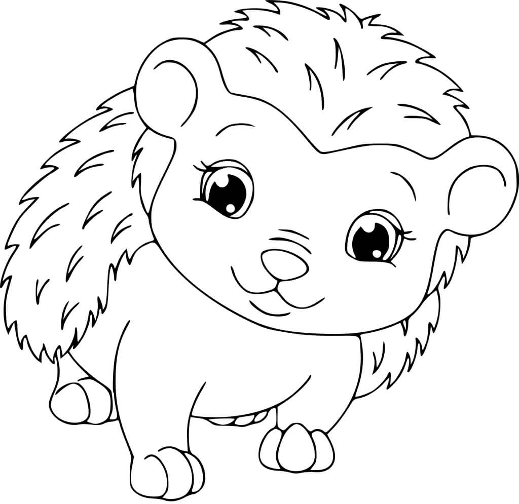 Dibujo de Erizo Sonriente para Colorear