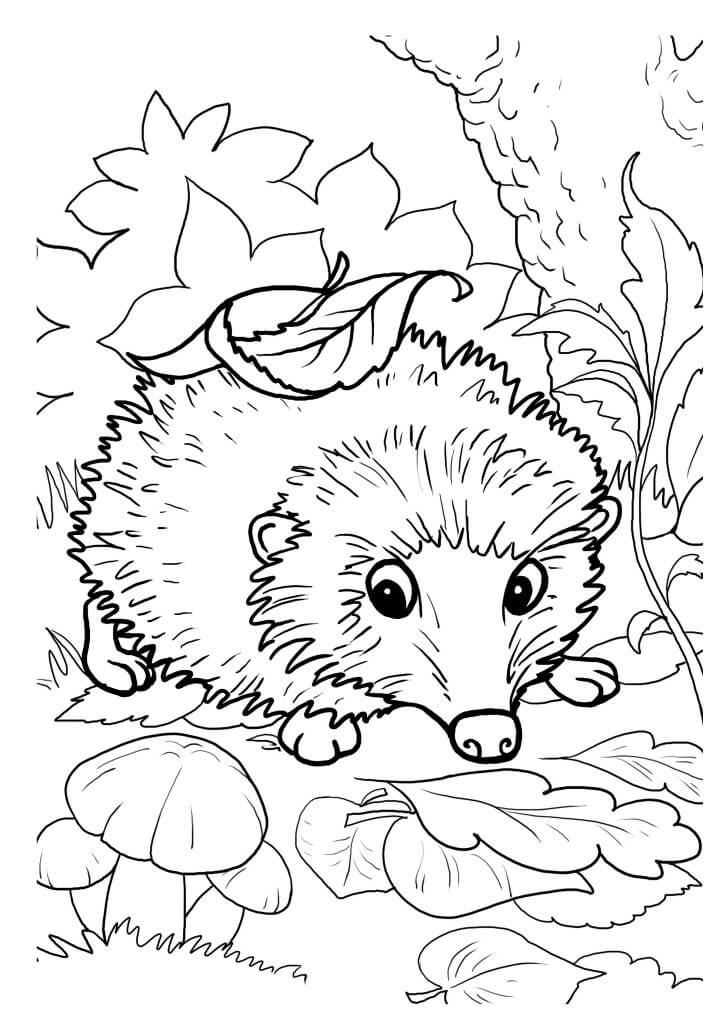 Dibujo de Hoja en Erizo para Colorear