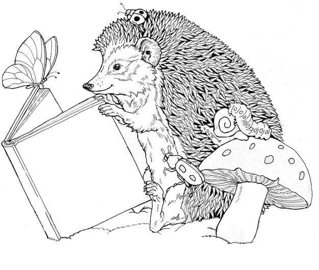 Dibujo de Libro de Lectura de Erizo para Colorear