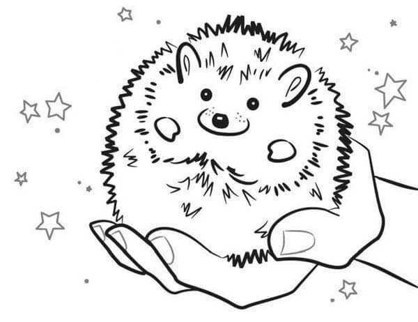 Dibujo de Mano Sosteniendo Erizo para Colorear
