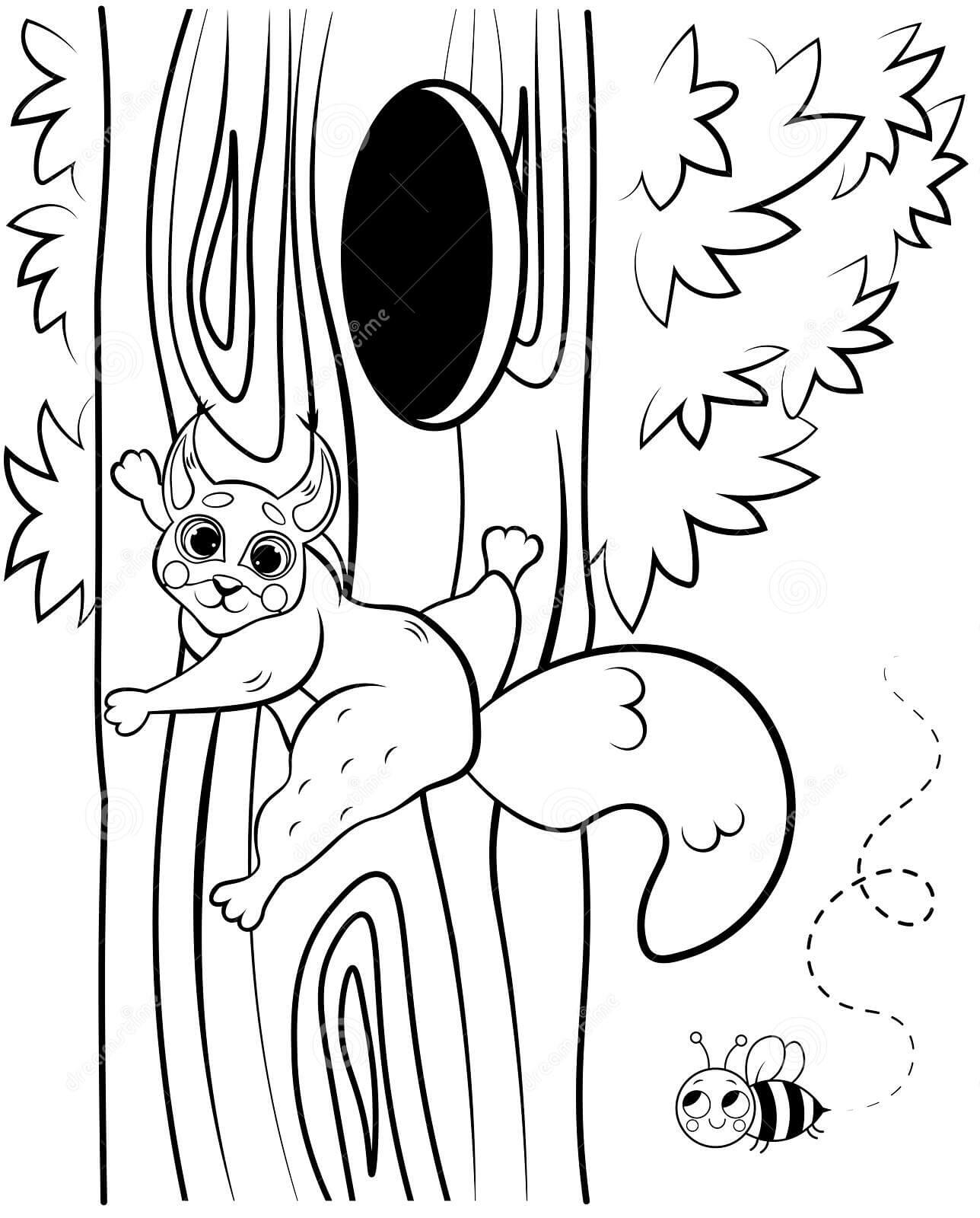 Dibujo de Ardilla Trepando a un Rbol Cerca del Hueco para Colorear