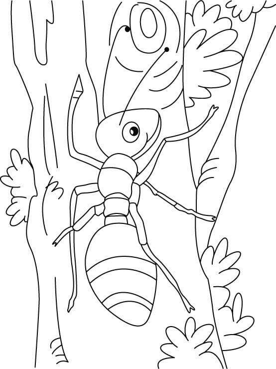 Dibujo de Escalada de Hormigas para Colorear