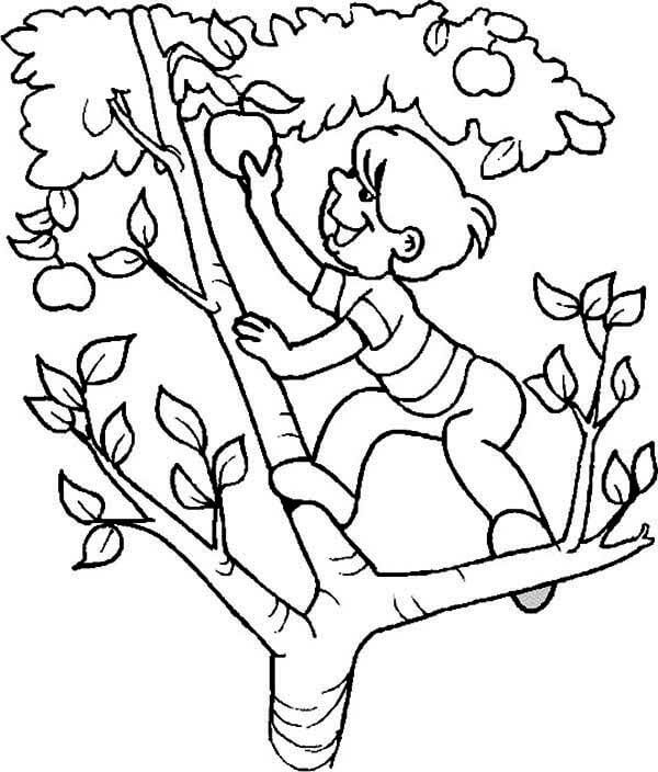 Dibujo de Nio Trepando Rboles para Colorear