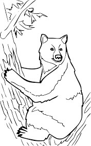 Dibujo de Oso Negro Trepando al Rbol para Colorear