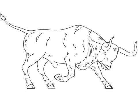 Dibujo de Toro de Lidia Espaol para Colorear
