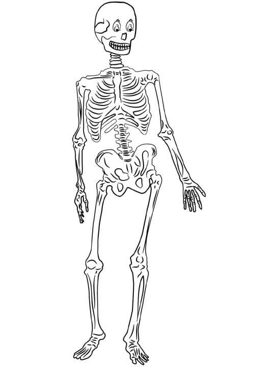 Dibujo de Buen Esqueleto para Colorear