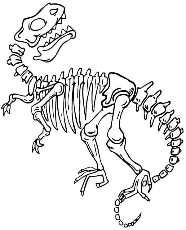 Dibujo de Esqueleto de Dinosaurio para Colorear